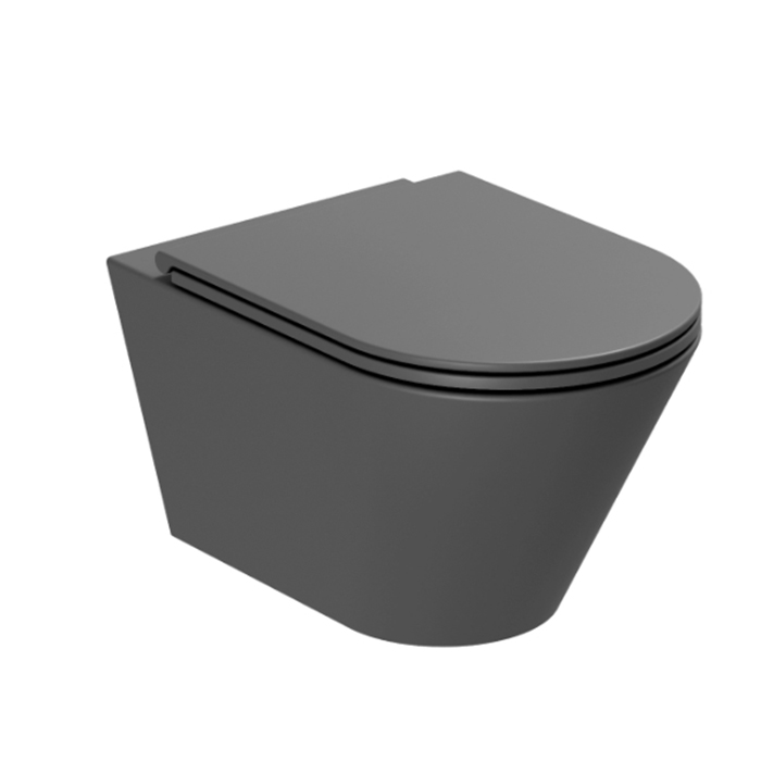 Azzurra Forma Унитаз подвесной, безободковый, в комплекте с креплением, цвет: Carbone