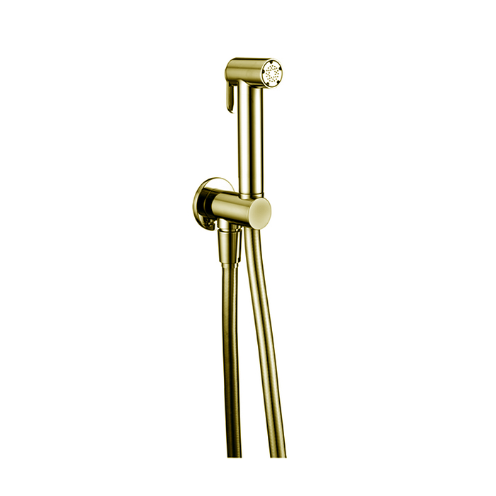 Cisal Shower Гигиенический душ, со шлангом, вывод с держателем, цвет: золото