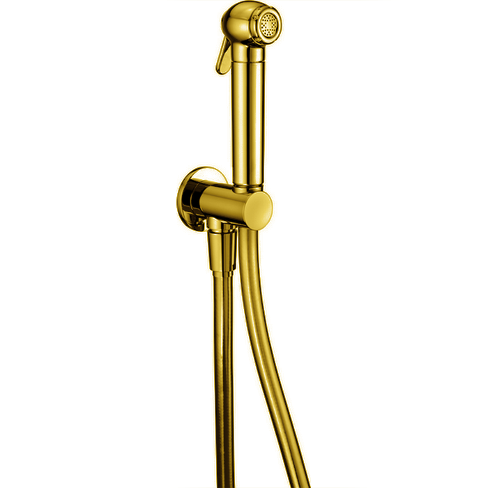 CISAL Shower Гигиенический душ со шлангом,вывод с держателем, цвет: золото