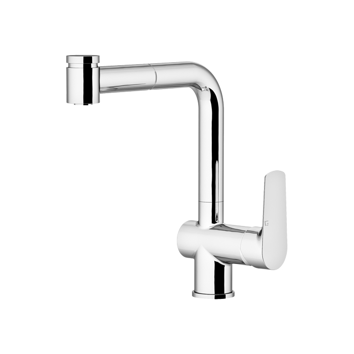 Gattoni H2Omix3000 Cucina Смеситель для раковины, с выдвижным распылителем, излив, цвет: хром
