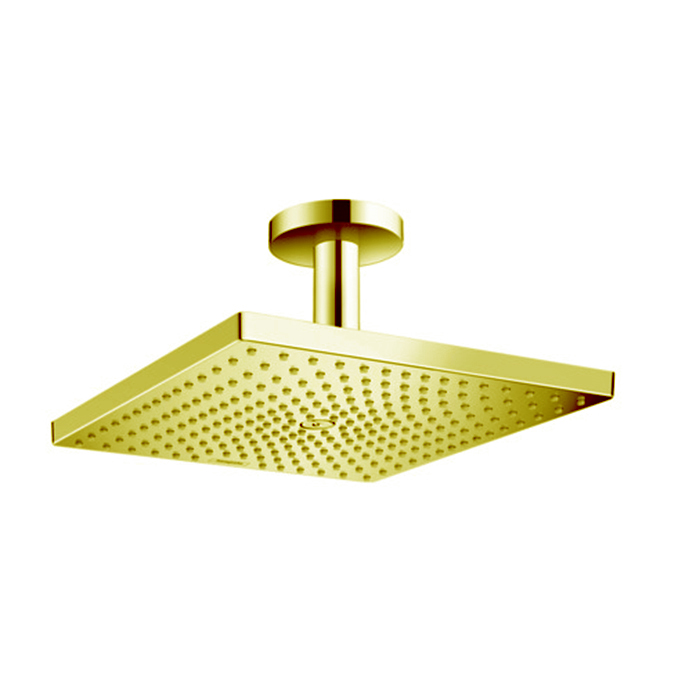 Hansgrohe Raindance Верхний душ, 1 jet, потолочный держателем, цвет: золото