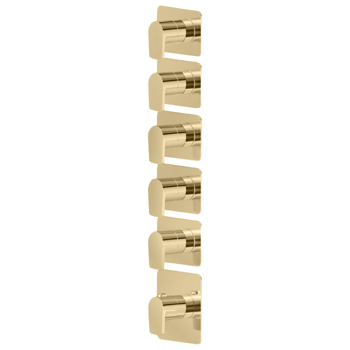 Newform Haka Смеситель для душа, термостатический, на 5 потоков, цвет: PVD brushed gold