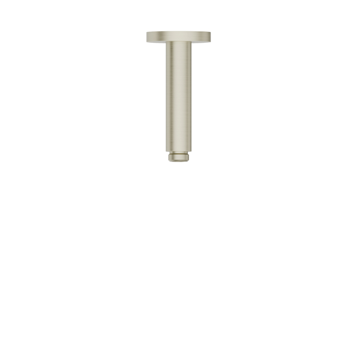 Newform Head Showers Душевой кронштейн, потолочный, закругленный, цвет: PVD brushed pale gold