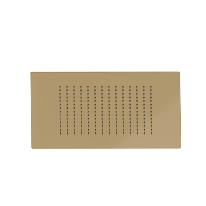 Newform Head Showers Верхний душ, потолочный, скрытый, цвет: PVD glossy gold