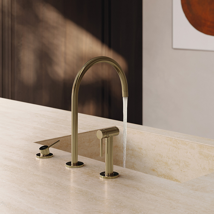 Newform N21 Смеситель для кухни, 3 отв, с ручным душем, цвет: Brushed p. Gold