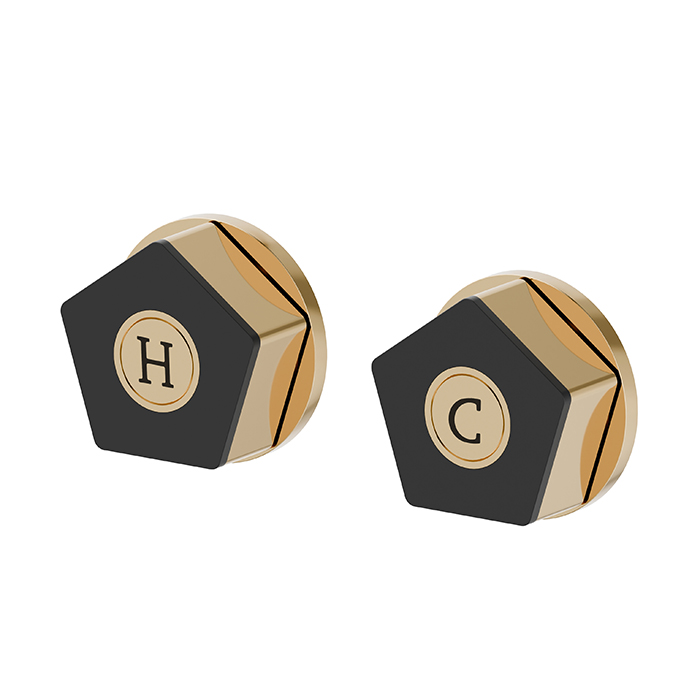 Newform ParkLE Смеситель для душа, настенный, на 1 поток, цвет: PVD glossy gold/черный матовый