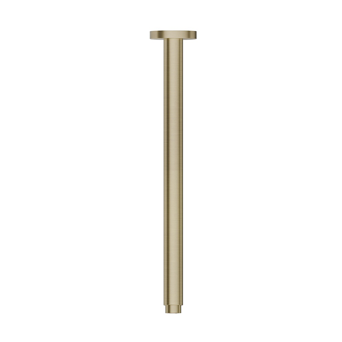 Newform X-Steel 316 Кронштейн для верхнего душа, потолочный, цвет: PVD Br. Pale Gold