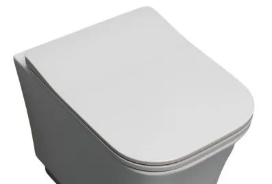 White Ceramic Idea, быстросъемное тонкое сиденье с микролифтом, цвет сливовый матовый
