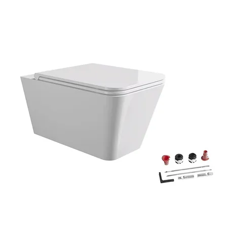 Alice Hide Square Унитаз, подвесной, безободковый, с сиденьем и крышкой с микролифтом, с набором для крепления, цвет: белый глянцевый