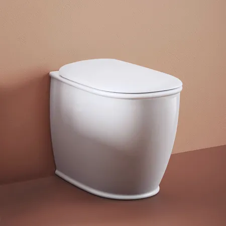 Artceram Atelier Унитаз напольный, безободковый, слив универсальный, с крепежом, цвет: белый матовый