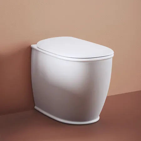 Artceram Atelier Унитаз напольный, безободковый, слив универсальный, с крепежом, цвет: белый