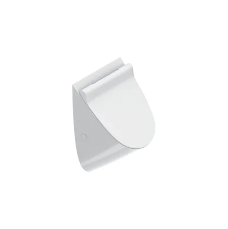 Catalano Comfort Писсуар 54x30см., с отв. для крышки, цвет: белый глянцевый