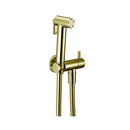 Cisal Shower Гигиенический душ, со шлангом, вывод с держателем, цвет: золото