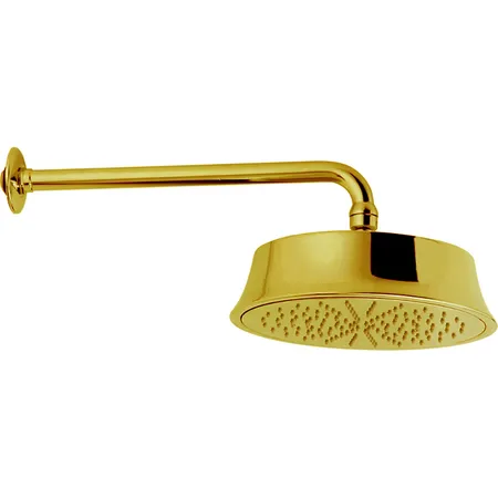 CISAL Shower Верхний душ с настенным держателем, цвет: золото