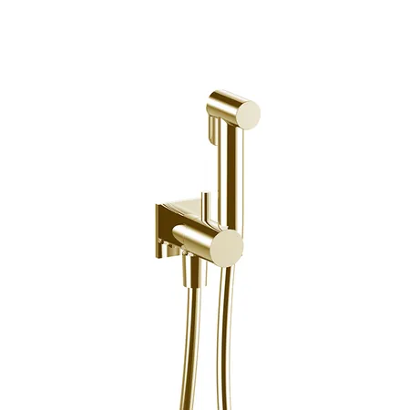 Fantini Mint Гидроёршик с двойной функцией, цвет: Matt British Gold PVD