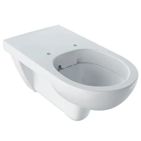 Geberit Selnova Comfort Унитаз, подвесной, безободковый, удлиненный вылет, для ММГН, цвет: белый глянцевый