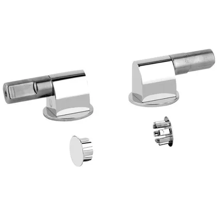 Gessi Gessi316 Петли плавного закрывания сиденья унитаза и пробки для боковых отверстий, цвет: хром