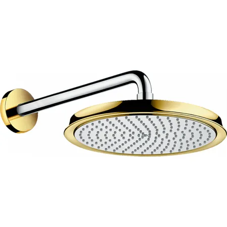 Hansgrohe Raindance Classic Верхний душ, настенный, цвет: хром/золото