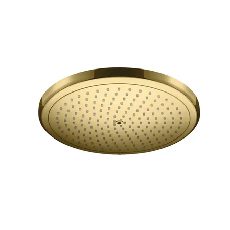 Hansgrohe Rainfinity Верхний душ, цвет: полированное золото