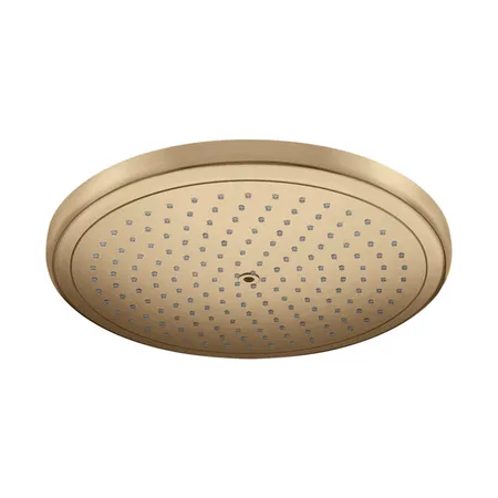 Hansgrohe Rainfinity Верхний душ, цвет: шлифованная бронза