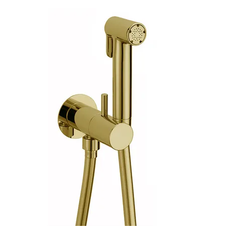 Cisal Shower Гигиенический душ, со шлангом, вывод с держателем и встроенный прогрессивный картридж, лейка латунь, цвет: золото