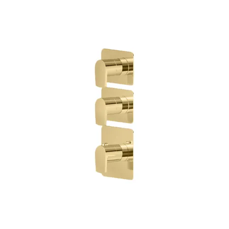 Newform Haka Смеситель для душа, термостатический, на 2 источника, цвет: PVD brushed gold