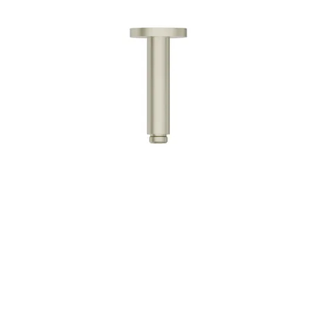 Newform Head Showers Душевой кронштейн, потолочный, закругленный, цвет: PVD brushed pale gold