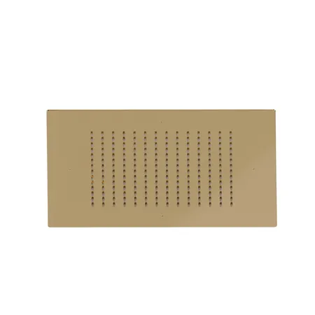 Newform Head Showers Верхний душ, потолочный, скрытый, цвет: PVD glossy gold