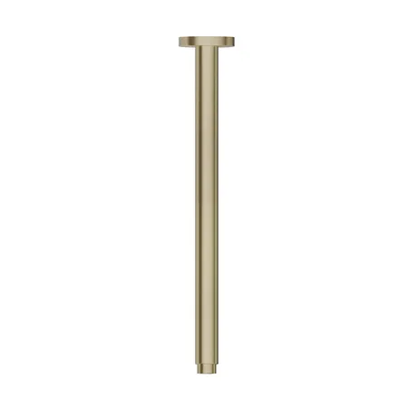 Newform X-Steel 316 Кронштейн для верхнего душа, потолочный, цвет: PVD Br. Pale Gold