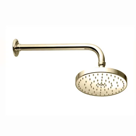 Nicolazzi Doccia Верхний душ, цвет: Polished Nickel