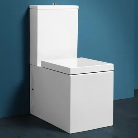 SIMAS Frozen Унитаз моноблок, с бачком, цвет: белым