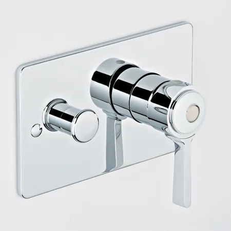 THG CAPUCINE VERT DECOR PLATINE Смеситель для душа встраиваемый, однорычажный, с переключателем, внешняя часть, декор платина, цвет: хром