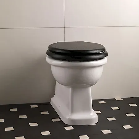Devon&Devon Etoile, Унитаз напольный, цвет: белый